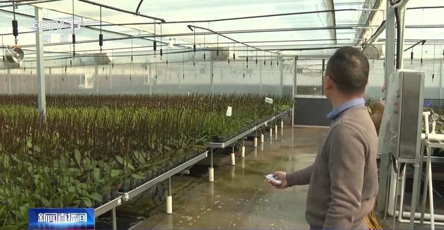 备货开启！创意好物热销AG真人游戏地址马年(图3)