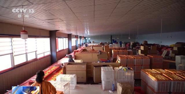 备货开启！创意好物热销AG真人游戏地址马年(图4)